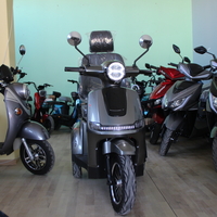 Електрическа триколка Max Motors FM2 PRO 1800W, 25Ah, GRAY