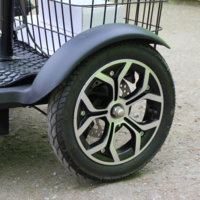 Електрическа триколка 750 W Max Motors директен внос нов модел А3