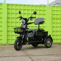 Триместна Триколка MAXMOTORS X1 NEW МОДЕЛ Аудио система