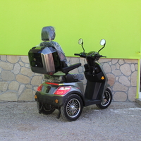 Електрическа триколка Max Motors FM2 PRO 1800W, 25Ah, GRAY