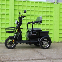 Триместна Триколка MAXMOTORS X1 NEW МОДЕЛ Аудио система
