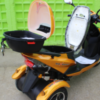 Електрическа Триколка – Скутер MAX SPORT 1500W GOLD 2024