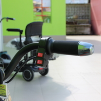 Електрическа сгъваема четириколка 750W MaxMotors