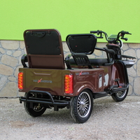 Двуместна електрическа триколка MAX MOTORS 1500W 20 AH