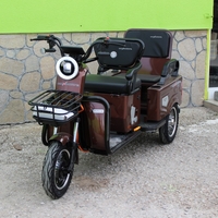 Двуместна електрическа триколка MAX MOTORS 1500W 20 AH