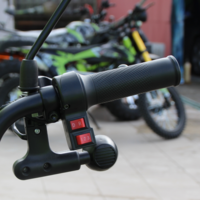 Триместна Триколка MAXMOTORS X1 NEW МОДЕЛ Аудио система