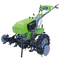 МОТОБЛОК 1100 GARDENIA D 17