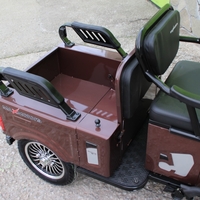 Двуместна електрическа триколка MAX MOTORS 1500W 20 AH
