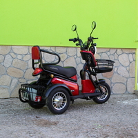 Двуместна електрическа триколка MaxMotors Pudding 1800W-48V-20Ah RED