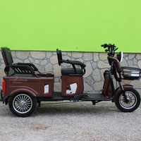Двуместна електрическа триколка MAX MOTORS 1500W 20 AH