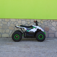 Eлектрическо ATV MaxMotors Mudhawk 1200W