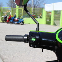 Електрическа Фамозна триколка MaXmotors FM1 1500W – GREEN