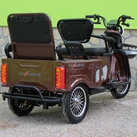 Двуместна електрическа триколка MAX MOTORS 1500W 20 AH
