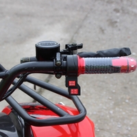 Eлектрическо ATV MaxMotors Grizzly 1500W