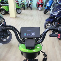 Двуместна електрическа триколка MaxMotors Pudding 1800W-48V-20Ah GREEN
