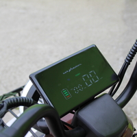 Двуместна електрическа триколка MAX MOTORS 1500W 20 AH