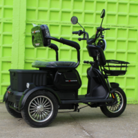 Триместна Триколка MAXMOTORS X1 NEW МОДЕЛ Аудио система