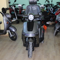 Електрическа триколка Max Motors FM2 PRO 1800W, 25Ah, GRAY
