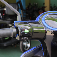 Електрическа Фамозна триколка MaXmotors FM1 1500W – BLUE