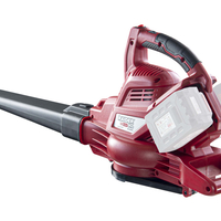 R20 Листосъбирач акум. 40V Solo RDP-SEBV20