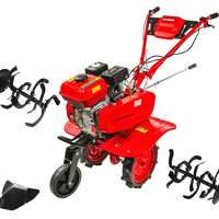 Мотофреза бензинова 5.2kW (7.0hp) 1200mm 2+1 ск. RD-WT14