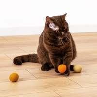 Ръчно изработени топчета за котки GINGER от новозеландска вълна