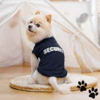 Дрешка Security