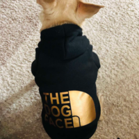 Дрешка The dog face - черна/златна