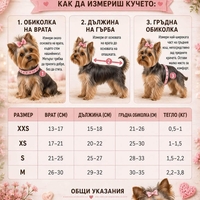 Комплект за кученце и стопанин - плетен пуловер и шапка в златисто