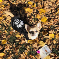 Дрешка Adidog