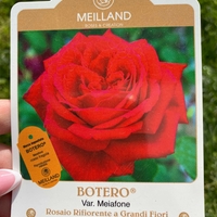 BOTERO® Meiafone