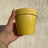 Керамични кашпи - различни цветове
