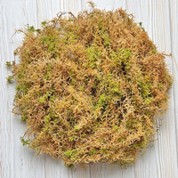 Премиум сфагнумов мъх