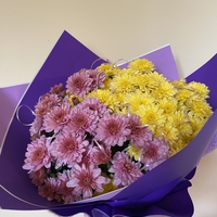 Опаковане на цвете в саксия за подарък