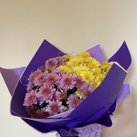 Опаковане на цвете в саксия за подарък