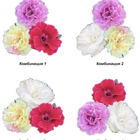 Карамфили тройки