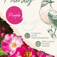 FRIENDLY ® Purple Meicosme