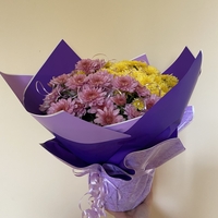 Опаковане на цвете в саксия за подарък