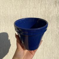 Керамични кашпи - различни цветове