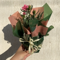 Опаковане на цвете в саксия за подарък