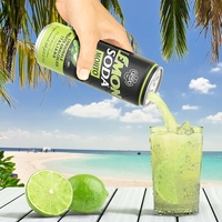 Газирана напитка Lemonsoda Mojito 330 мл