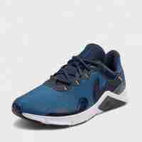 Мъжки маратонки Nike Legend Essential 2 blue