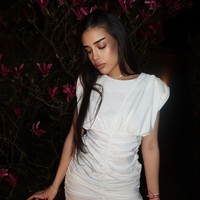 Clara dress