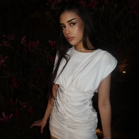 Clara dress