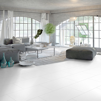 Ceramin Wall Luna Virgin White