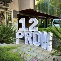 Светещ надпис PROM