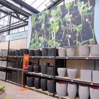 Дървени скари за стелажи, рафтове и дървени пътеки