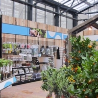 Стенни дървени панели