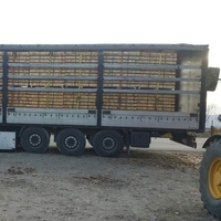 Дървен амбалаж за Белгия и Испания