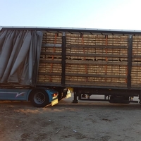 Оборудване за градински центрове в Холандия